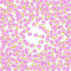 Vector Realistic Pink Petals Falling on Transparent Background.  Spring Romantic Flowers Illustration. Flying Petals. Sakura Spa Design. Blossom Confetti.