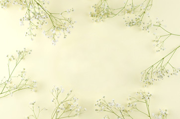 Frame from gypsophila branches on a yellow paper background.