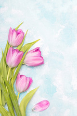 Obraz na płótnie Canvas Tulip flowers on blue background, copy space. A beautiful spring bouquet of pink flowers