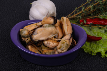 Pickled mussels in the bowl served pepper, garlic and salad