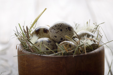 Fresh organic quail eggs in wooden bowl on rustic kitchen table. Space for text