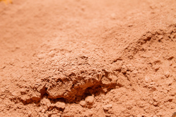 Dry cocoa powder poured into a brown ceramic plate
