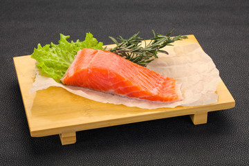 Piece of raw salmon