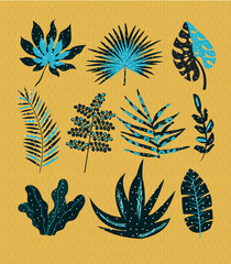 Fototapeta na wymiar set abstract leaves pattern, jungle background, vector illustration
