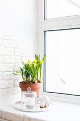 Springtime home decor with yellow daffodils on windowsill 