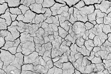 dry soil for background