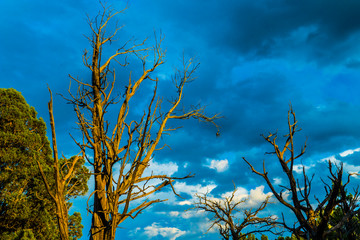 Balcony House Hike, Mesa Verde National Park