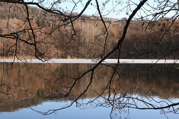 ice on lake and branches
