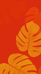 monstera color abstract background