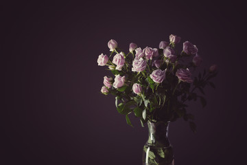 Vase with beautiful roses on dark background
