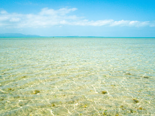 遠浅の海