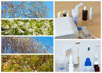 Treatment of seasonal spring allergies and asthma. Medications and nebulizer. Flowering trees and shrubs causing allergic reactions: birch, bird cherry, willow and coniferous strobiles. Collage