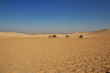 Giza, sphinx, pyramids, Egypt
