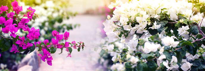 Beautiful Floral Border.Flower design.