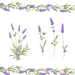 Obraz premium Provence flowers collection. Set of lavender flowers elements. Violet flowers kit. Fashion summer print bundle. Elements for invitation card and your template design. Vector illustration.