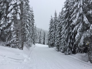 Harghita-Băi, Romania