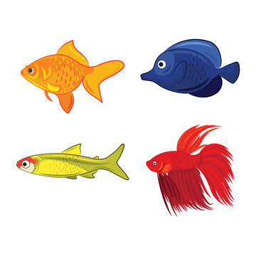 Colorful cartoon fishes
