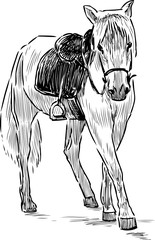 A sketch of a going harnessed horse