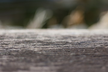 Holzbank