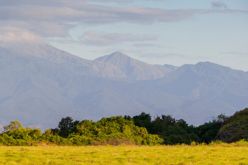 Mountain view in the morning with side light and yellow grass from kenawa island