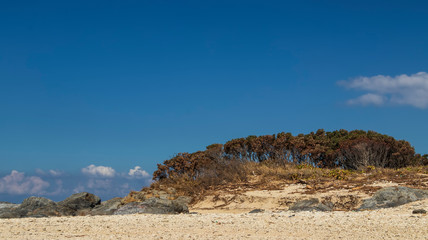 Rock, blue sky and cloud in daylight yakushima island japan
