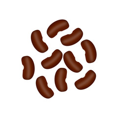 Brown beans on white background, agriculture, food, vector
