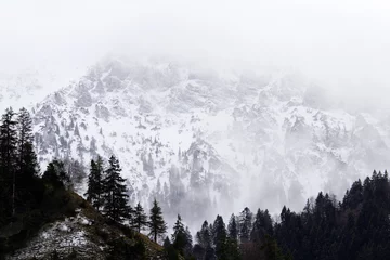 Fotobehang winter in the mountains © J. Michael Hoffman