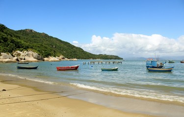 Fototapeta na wymiar Praia tropical, praia de Canto Grande, Mariscal, cidade de Bombinhas, estado de Santa Catarina, Brasil 