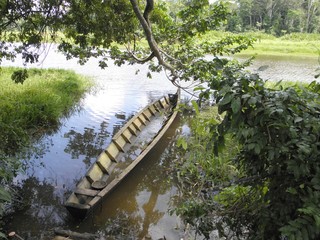 im Amazonasdschungel