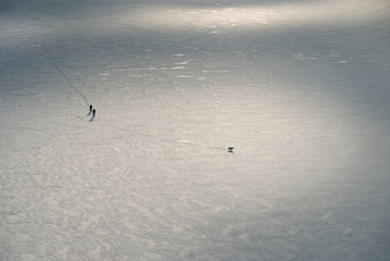 Two skiers and a dog on a frozen lake. View from a height.