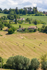 Fototapeta na wymiar Scenery in Marche Italy with straw bales on a field