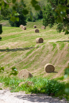 some straw bales on a field in Marche Italy