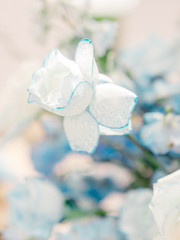 Table setting at a luxury wedding reception. Outdoor wedding