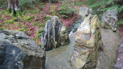 Fototapeta premium Forrest stone wall