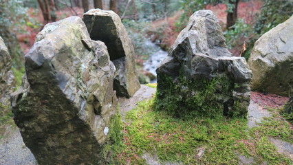 Fototapeta premium Forrest stone wall