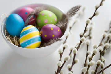 holidays and object concept - colored easter eggs with quail feathers in bowl and pussy willow branches on white background