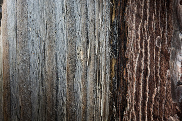 Holzstruktur als Hintergrund