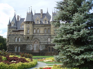 Obraz premium Garibaldi castle in Togliatti and herringbone
