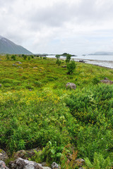 Beautiful scandinavian landscape with meadows, mountains and village. Lofoten islands, Norway.