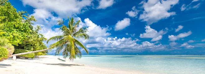 Foto op Plexiglas Mooie tropische strandbanner. Wit zand en kokospalmen reizen toerisme breed panorama achtergrond concept. Geweldig strandlandschap © icemanphotos