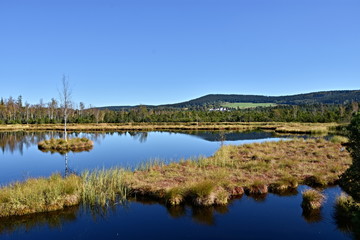 Sumava National Park, nature of the Czech Republic, picture from summer