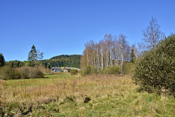Sumava National Park, nature of the Czech Republic, picture from summer