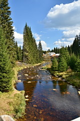 Sumava National Park, nature of the Czech Republic, picture from summer