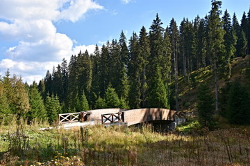 Sumava National Park, nature of the Czech Republic, picture from summer