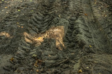 Background dirty slippery tracks of automobile tires in clay. Road wheel on land all terrain