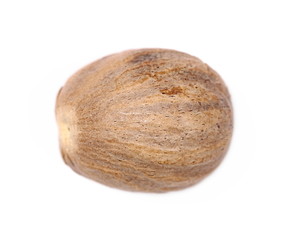 Nutmeg isolated on white background, top view, macro