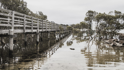 Fototapeta premium Boardwalk on the estuary