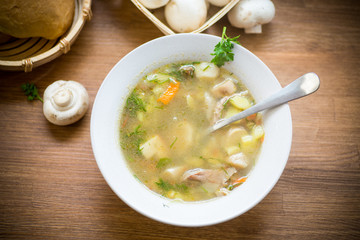 homemade rural soup with vegetables and mushrooms in a bowl