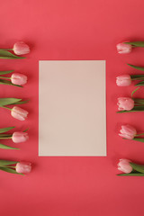 Bunch of tulips on pink background