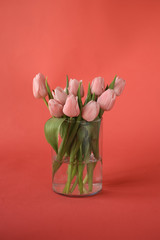 Bouquet of tulips in vase